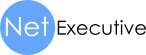 NetExecutive Srl Logo